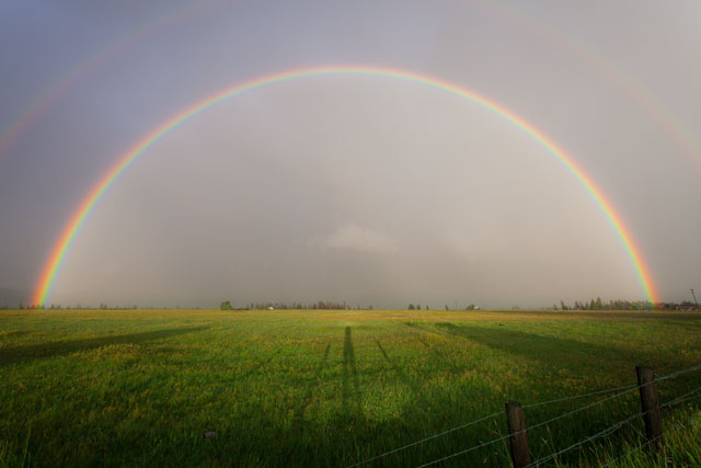 image of a rainbow in an open field